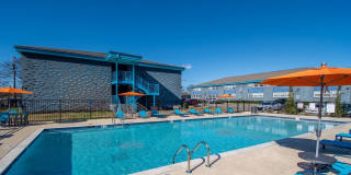 The Canvas Gallery 15