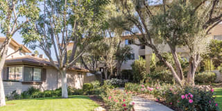 Orange Grove Circle Gallery 3