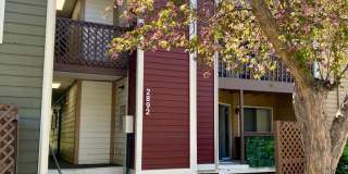 Furnished 2-Bedroom Condo with Great Amenities Gallery 1