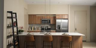 Scottsdale on Main Gallery 20