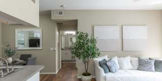 Preserve at Temple Terrace Gallery 4