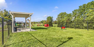 Capital Crest at Godley Station Gallery 60