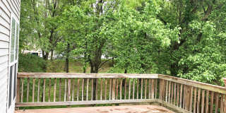 47403 DARKHOLLOW FALLS Terrace Gallery 6