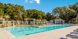 St. Johns Forest Gallery 14