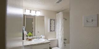 Canyon Creek Gallery 25