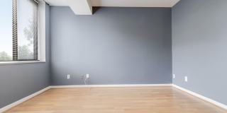 3713 S GEORGE MASON Drive Gallery 37
