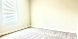 242 ORCHARD Lane Gallery 29