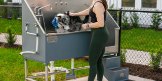 Isla Palmetto Gallery 41