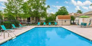 Sussex Downs Gallery 54