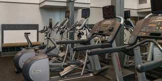 Congress Grove Gallery 18