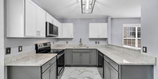 BEAUTIFULLY RENOVATED TWO BEDROOM IN CHAPIN Gallery 1