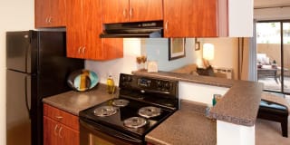 Avalon Mountain View Gallery 10