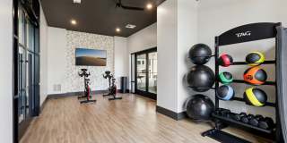 The Kempson Gallery 28