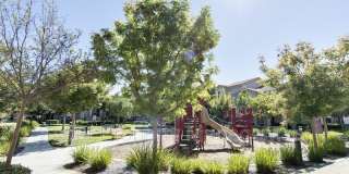 40021 Spring Place Court Gallery 16