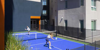 The Q Playa Gallery 1