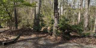 130 SPRINGWOOD Drive unit: Rental Unit Gallery 21