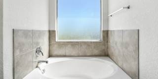 9566 Everton Gallery 20