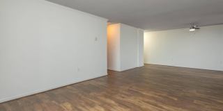 Whitestone at Landmark Gallery 35