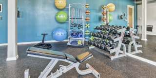 Museum Park Museum Park Gallery 12