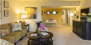 Bay Hills Gallery 15