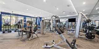 River House Gallery 14