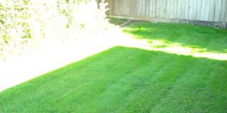 SINGLE STORY, 4 BED, 2 BA, LARGE LOT, ARDEN ARCADE AREA SINGLE STORY, 4 BED, 2 BA, LARGE LOT, ARDEN ARCADE AREA Gallery 23