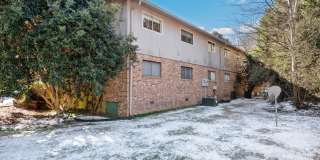 Two bedroom updated paint, carpet washer/dryer included in unit - Immediate Move In Gallery 5
