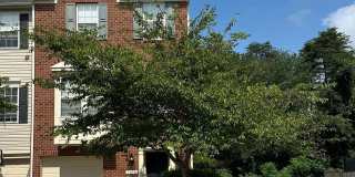 7216 MOCKINGBIRD CIR Gallery 1