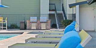 Forest Glen Gallery 18