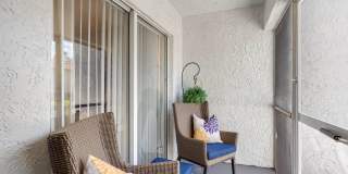 Boca Arbor Club Gallery 31