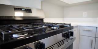 Timberlane Gallery 14