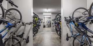 Arsenal 201 Gallery 21