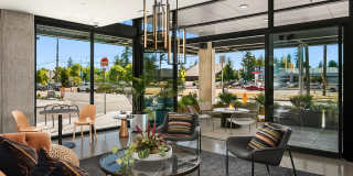 Ion Town Center Gallery 23