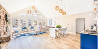 The Whitley Apartments The Whitley Apartments Gallery 3