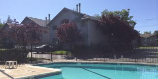 Hillgrove Creek Gallery 9