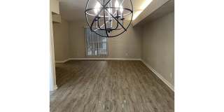 Bellevue Towers Gallery 106