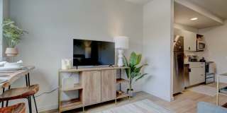 The Ayva Midtown Gallery 7