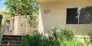 1171 Stanford #4 Gallery 1