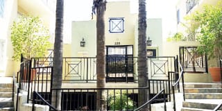 Oaks Gallery 32