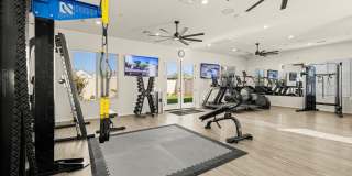 Canopy at Sundance Gallery 58