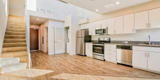 Windsor at Dogpatch Gallery 10