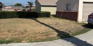 Charming 1 BR 1BA studio for rent. Gallery 12
