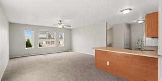 3905 Marigold Drive - 1 Gallery 9