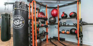 Berkeley Park Gallery 42