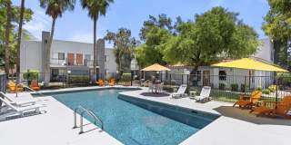 Acacia Hills Gallery 20