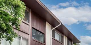 Shannon Hills Gallery 16