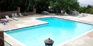 Ridgewood Condo 1 Bed Apartment W/ Pool & Clubhouse! Gallery 3