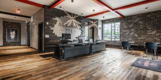 Arsenal 201 Gallery 10