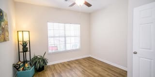 Pine Lake Gallery 33