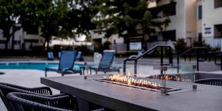 Kensington Kensington Gallery 24